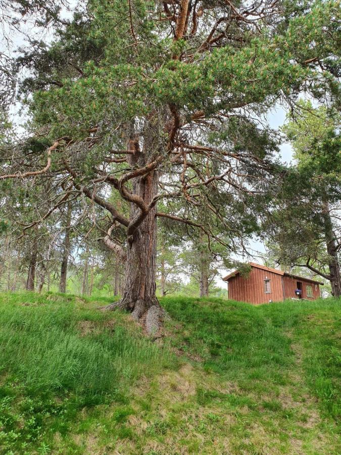 Borkhushyttene Casa vacanze *